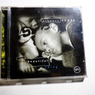 Stephen Scott The beautiful Thing VERVE