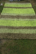 COLUS SZAGGY DYWAN CIENIOWANY 245X152