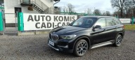 BMW X1 Pierwszy właściciel w kraju, super stan.