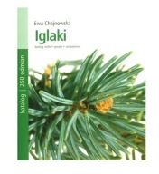 Iglaki Ewa Chojnowska , BDB