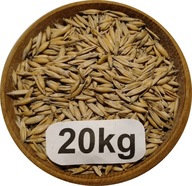 Owies Ozimy, Biały, Od Rolnika 20kg, 2025r
