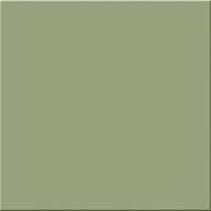 PŁYTKA ŚCIENNA PASTEL OLIWKOWY MAT 20*20 G2 m2 zamów