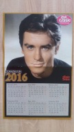 ALAIN DELON / POLA RAKSA / plakat z gazety