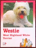 Westie. West Highland White Terrier - Inga Flamang
