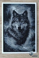obraz dekoracyjny Wilk w nocnym lesie A5