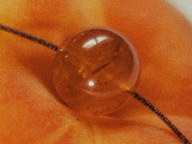 Naszyjnik Pesca z bursztynem bałtyckim