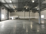 Magazyny i hale, Toruń, 1200 m²