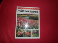 Leksykon roślin cebulowych - Zdenek Osvald