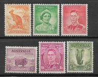 Australia x J564 JVI fauna MVLH ząb.13,5x14 61funtówx75%