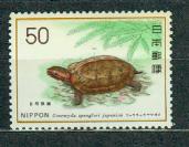 JAPONIA** Żółw Mi 1281