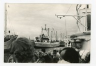 GDAŃSK - STATEK W PORCIE DRZEWNYM