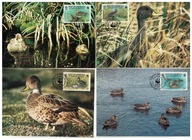 05-MC08- Suith Georgia- WWF,1992-Ptaki-Dzikie kaczki