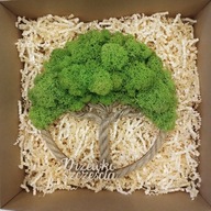 DRZEWKO SZCZĘŚCIA CHROBOTEK, doskonały prezent na każdą okazję 25cm