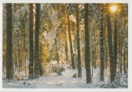 ROSJA - AŁTAJ - KRAJ AŁTAJSKI - LAS - ZIMA