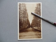 ZAKOPANE DROGA DO KUŻNIC 1929 PORONIN POCZTÓWKA przedwojenna