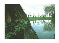 Pocztówka - Wierzby w szpalerze nad wodą / wiosna ...