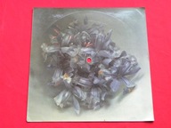 HOMO HOMINI za wieczoru złotą bramą WAWELE daj mi POCZTÓWKA DŹWIĘKOWA