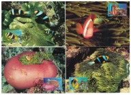 12-MC-GK29- Nauru,WWF, Ryby egzotyczne,1989r