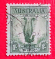 AUSTRALIA 1937 ptaki 1sh jak na zdjęciach