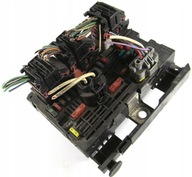 PEUGEOT CITROEN MODUŁ SKRZYNKA BEZPIECZNIKÓW BSM R05 9666700480 kostki