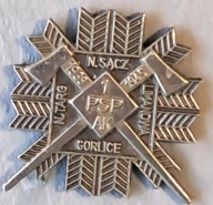 1 PSP AK z Grupy Operacyjnej AK "Śląsk Cieszyński"