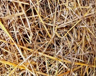 Słoma do budy psa, królika, kur, zwierząt podłoże 2kg