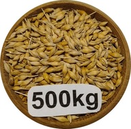 Jęczmień Konsumpcyjny/Paszowy, 500kg, 2025r