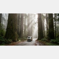 Duże drzewa sekwoje las mgła droga samochód obraz 55x100 promienie słonca
