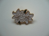 PIN PRZYPINKA BROSZKA KWIAT KWIATEK LILIA LILIE