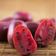 MINI KIWI Aktinidia HARDY RED żeńska 2L DUŻE, CZERWONE OWOCE!