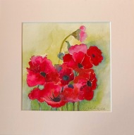 Maki kwiaty polne akwarela na papierze