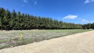 Działka, Rydzyny, Pabianice, Pabianicki, 808 m²