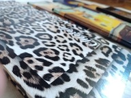 ZESZYT A 5 60 KARTEK LINIA SZEROKA