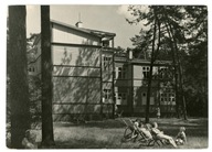 KOLUMNA LAS - DOM FWP LEŚNA