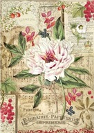 STAMPERIA * papier ryżowy A4 DFSA4264 * PEONIA unikat