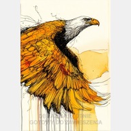 Orzeł ptak abstrakcja szkic tusz akwarela zarys obraz płótno 58x85 żółty