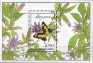 Gujana 1989 ** cena 8,70 zł kat.10€ - motyle