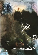 SALVADOR DALI - BIBLIA - OGRÓD -1972 r.