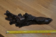 Korzeń Grabu XL tonący 