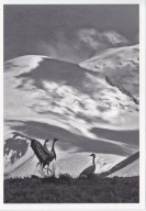 ROSJA - ZŁOTE GÓRY - UKOK PLATEAU - AŁTAJ - UNESCO