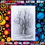 ”Elbląska Bażantarnia2”-rys.tuszem w passpartou Zygmunt Stanisław Tadrowski