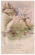 Młyn wieś kwitnący Sad 1903r. LITOGRAFIA Tłoczona 330g