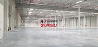 Magazyny i hale, Kutno, Kutnowski, 4000 m²
