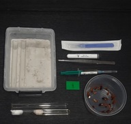 Zestaw do hodowli mrówek ,Arena do hodowli mrówek