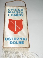 Urząd Miasta i Gminy Ustrzyki Dolne województwo krosno proporczyk