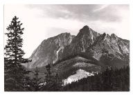 TATRY ZACHODNIE GIEWONT OD HALI MIĘTUSIEJ /NM837