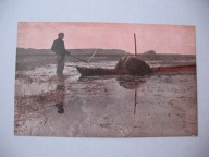 POLSKA W KRAJOBRAZIE POLESIE-KRESY KOSZENIE TRAWY POD WODĄ przedw POCZTÓWKA