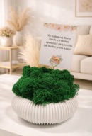 Prezent dla mamy doniczka z mchem chrobotkiem życzenia 4 wzory