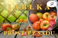 BANER REKLAMA SPRZEDAŻ JABŁEK JABŁKA PROSTO Z SADU 120X80 J2