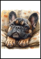 A2 OBRAZ PLAKAT PIES PUPIL PLAKAT BULDOG FRANCUSKI